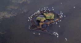 Sziget a Kis-Balatonban