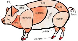 A sertés bontási részei