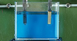 The copper from the aqueous solution of the copper sulfate (CuSO4) precipitates on the cathode