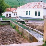 Spring in the mountains