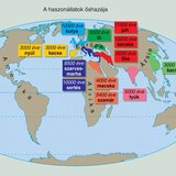 Állatok háziasítása