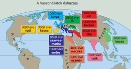 Állatok háziasítása