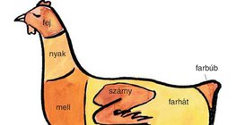 A tyúk bontási részei