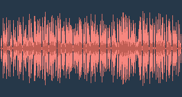 Az ismeretlen bálnafaj