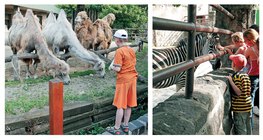 Séta az állatkertben