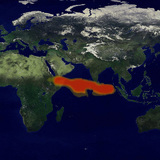 The path of the sulphur dioxide's spread after the eruption of Mount Pinatubo