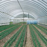 Interior of an insulated plastic greenhouse
