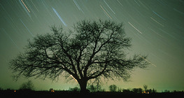 Csillagívek az éjszakai égbolton