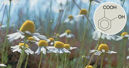 A szalicilsav származékai gyógyhatásúak