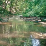 Cuha stream in the Bakony (Hungary)