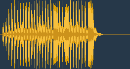 Virágéknál ég a világ