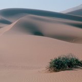 Sand dunes in the Sahara