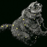 The Ursa Major constellation