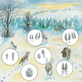 Animal tracks in the snow