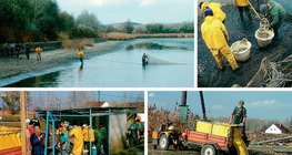 Tevékenységek egy tógazdaságban