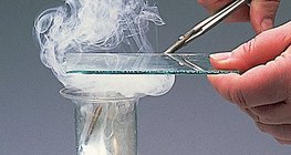 A magnézium és a klór reakciója