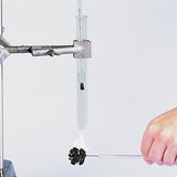 Dióbél energiatartalmának vizsgálata  