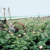 Önjáró öntözőberendezés