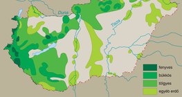Magyarország erdőtérképe