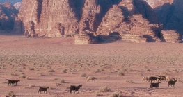 Wadi, arapski izraz za suho korito rijeke