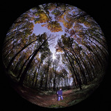 Tájkép teliholdkor (halszemoptikával)