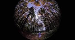 Tájkép teliholdkor (halszemoptikával)