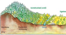 Hazánk életterei az Alpokaljától az Alföldig