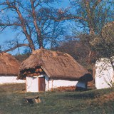 Thatched buildings