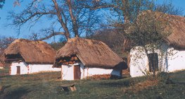 Nádtetős épületek