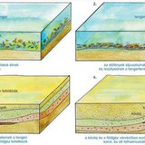 A kőolaj és a földgáz kialakulásának lépései