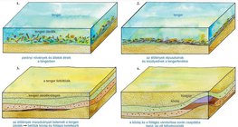 A kőolaj és a földgáz kialakulásának lépései