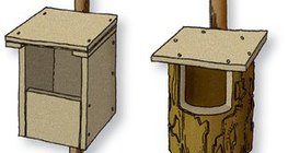 Fészekodúk és kihelyezésük