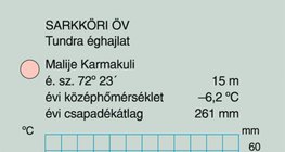 A tundra éghajlat éghajlati diagramja