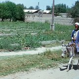 Semi-arid area in the Turan