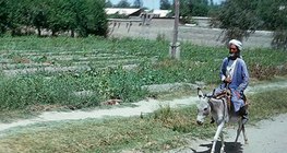 Félsivatagos terület a Turáni-alföldön