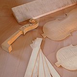 Violin making - phase 1