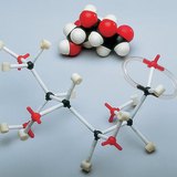 The space-filling and stick model of an open-chain formed glucose molecule