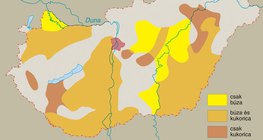 A búza és a kukorica termőterületei