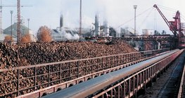 Cukorrépa a petőházi cukorgyár udvarán