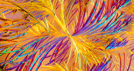 Az aminofilin nevű gyógyszer kristályai