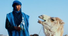 Muškarac Tuareg s devom