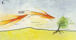 Egy vándorbucka születése és halála