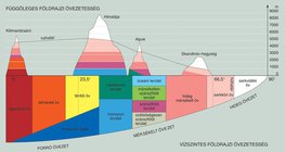 Függőleges földrajzi övezetesség