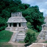 Tropical rainforest with ruins