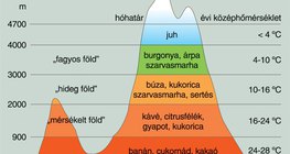 Növénytermesztés, állattenyésztés (Andok)