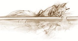 A jégréteg alatti „melegebb” vízben hideg időben is életben maradnak a víziállatok