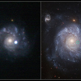 A supernova and its host galaxy