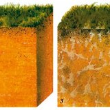 Types of soil (section)