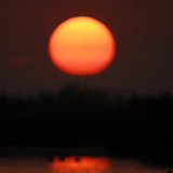 Kanalasgém a naplementében