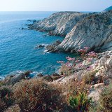 A coastal area in Greece